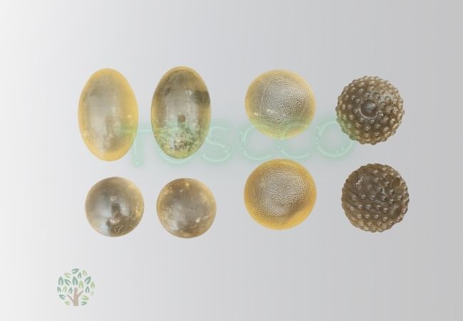 TOSCCO Elastic Rubber Washing Balls