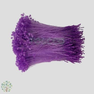 TOSCCO Loop Pin Purple 5 inch 7 inch