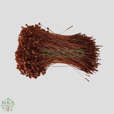 TOSCCO Plastic Loop Pin Fastener Brown Color