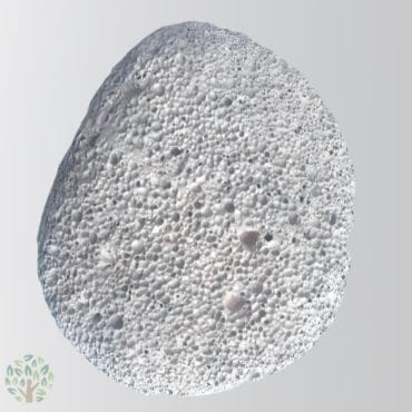Pumice Stone